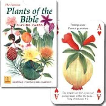 トランプ BOTANISCHES KARTENSPIEL Amazon.co.jp: Zubebe Nertz カードゲーム バルクスタンダード